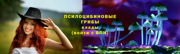 ГАЛЛЮЦИНОГЕННЫЕ ГРИБЫ Абаза