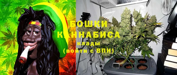 ГАЛЛЮЦИНОГЕННЫЕ ГРИБЫ Абаза