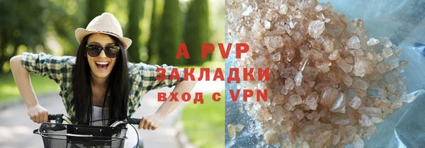 ГАЛЛЮЦИНОГЕННЫЕ ГРИБЫ Абаза