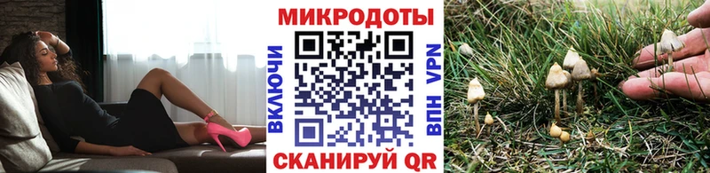 купить наркоту  Щёкино  гидра tor  Галлюциногенные грибы прущие грибы 